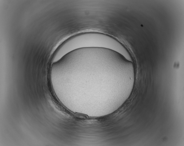 X0000114680108200911181240