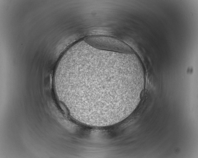 X0000114680109200911181240