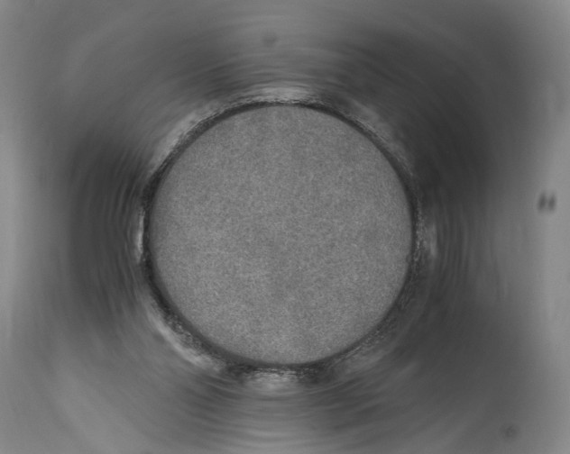 X0000114680110200911181240