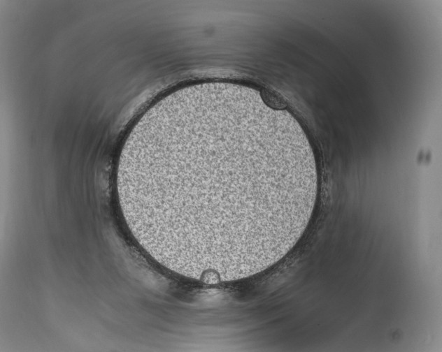 X0000114680111200911181240