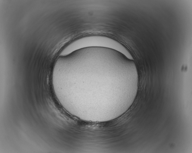 X0000114680120200911181239