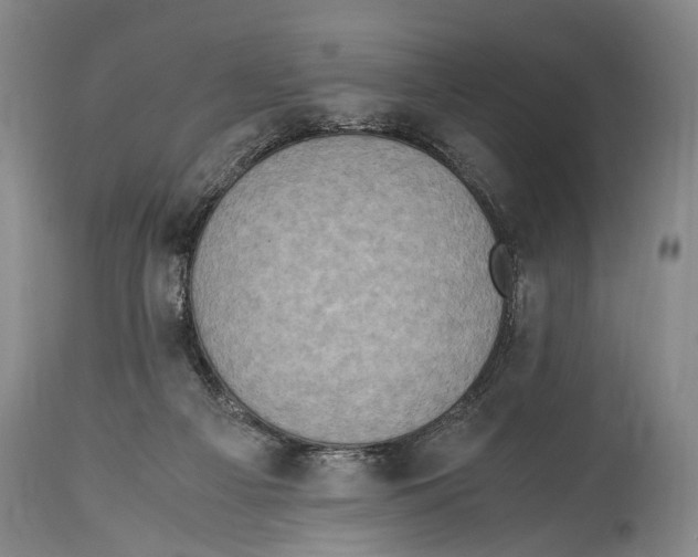 X0000114680121200911181239