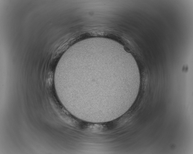 X0000114680125200911181239
