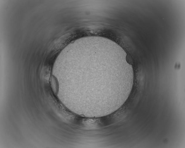 X0000114680129200911181239