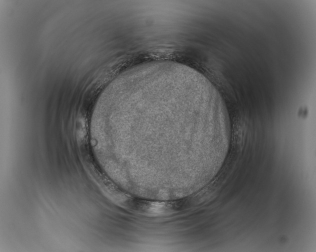 X0000114680130200911181239