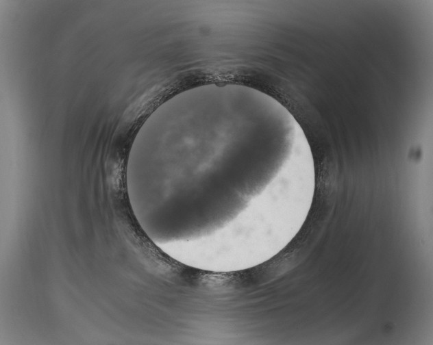 X0000114680139200911181239