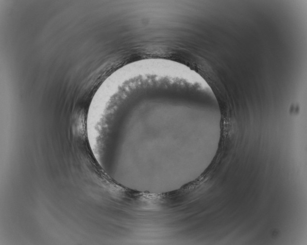 X0000114680143200911181239