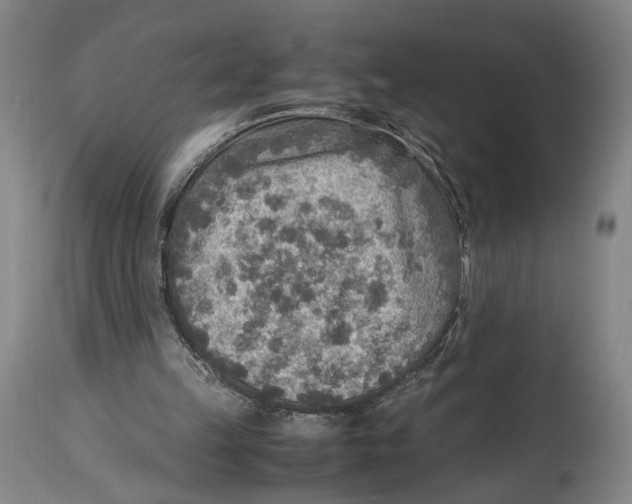 X0000114680149200911181238