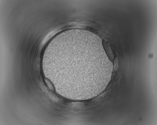 X0000114680150200911181238