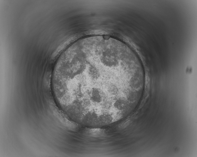 X0000114680153200911181238