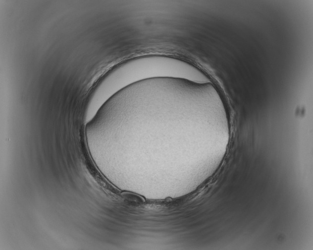 X0000114680154200911181238