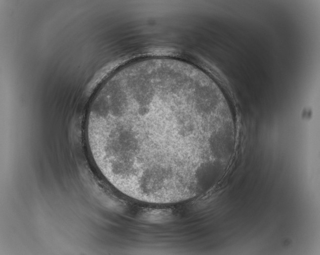 X0000114680155200911181238