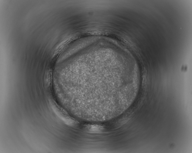 X0000114680165200911181239