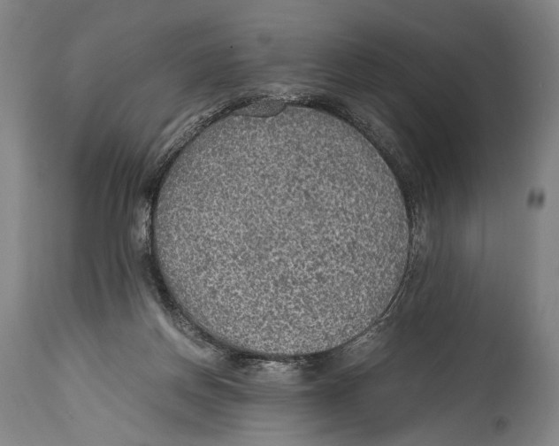 X0000114680166200911181239