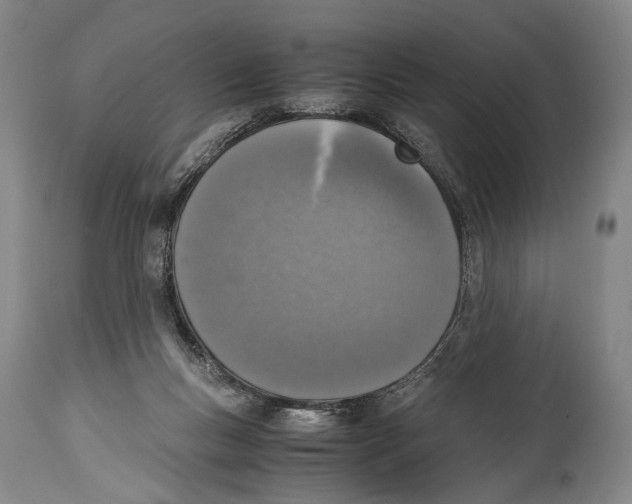 X0000114680167200911181239
