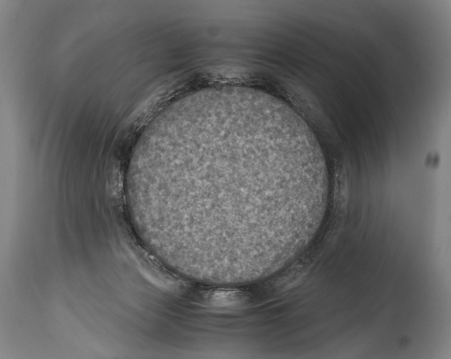 X0000114680173200911181239