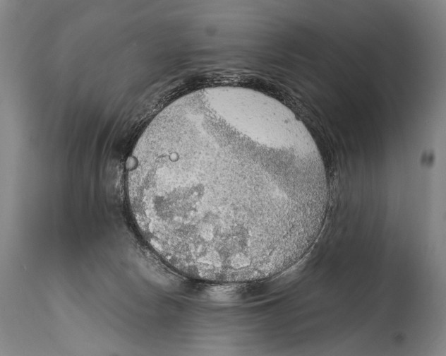 X0000114680178200911181239