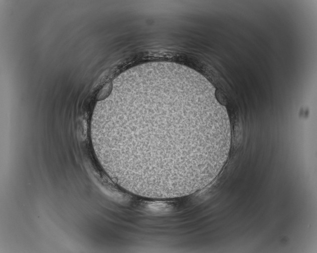 X0000114680183200911181239