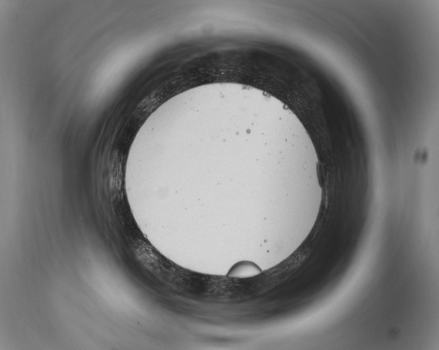 X0000114680190200911181239