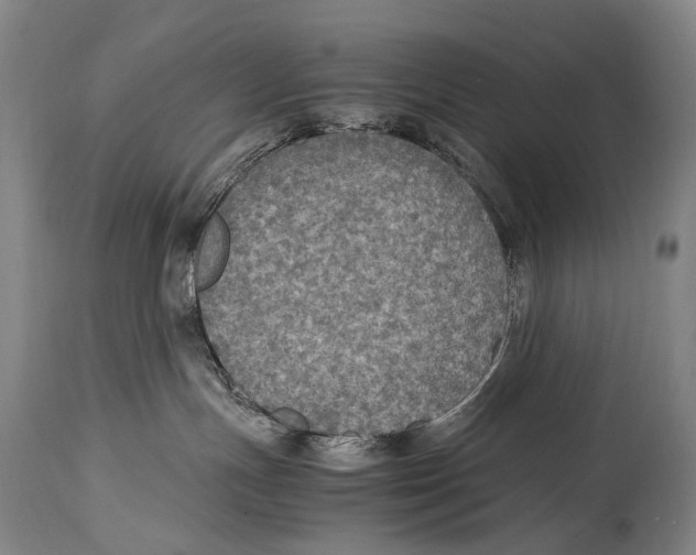 X0000114680191200911181239