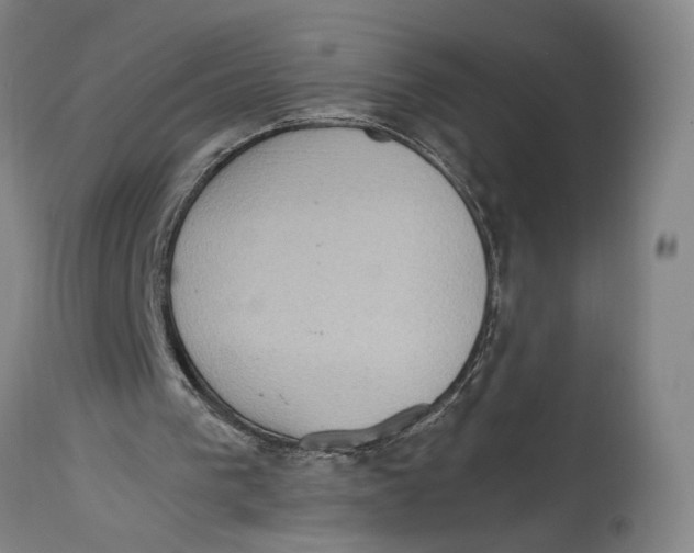 X0000114680193200911181238