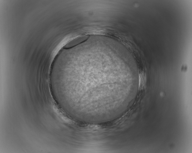 X0000114680195200911181238