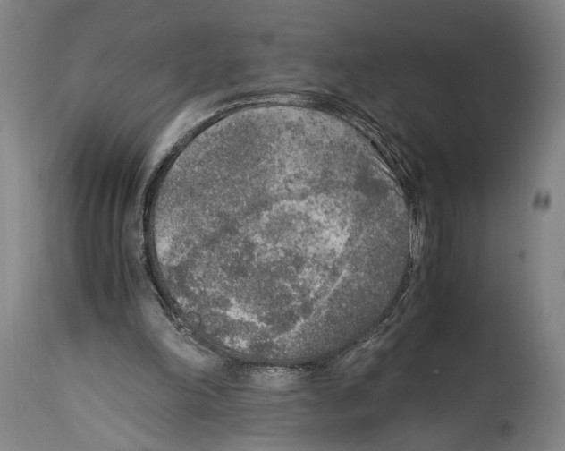 X0000114680198200911181238