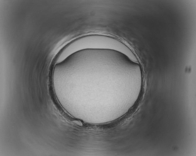 X0000114680199200911181238