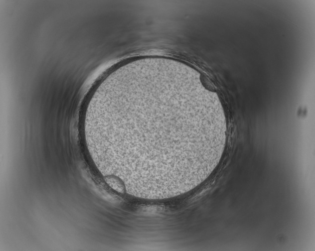 X0000114680200200911181238