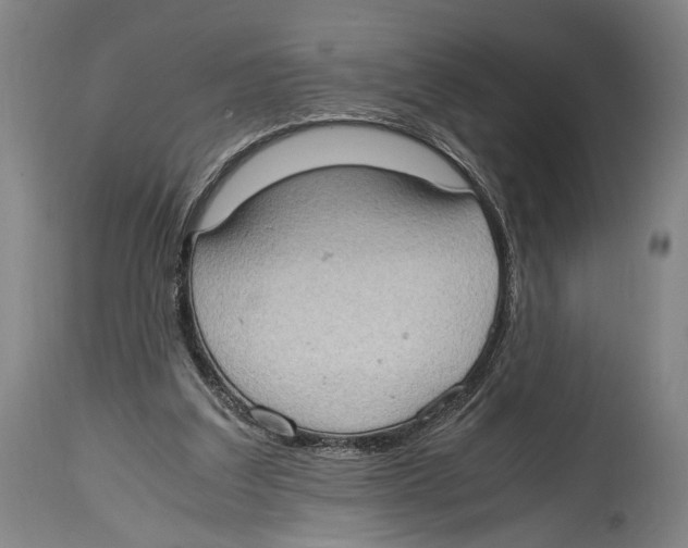 X0000114680203200911181238