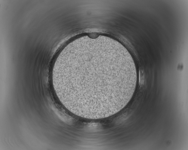 X0000114680204200911181238