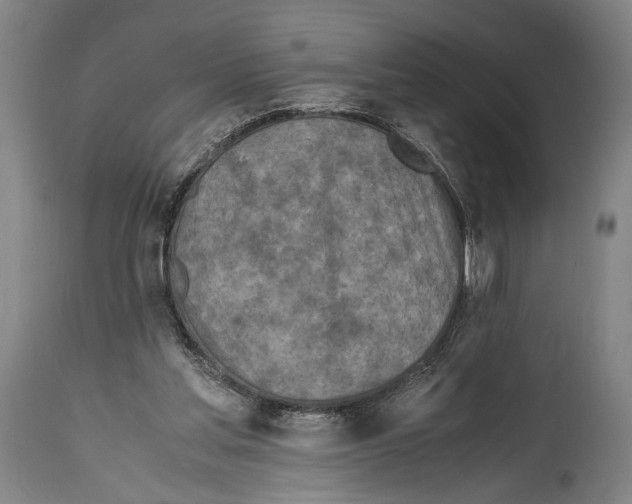 X0000114680205200911181238