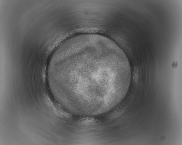 X0000114680206200911181238