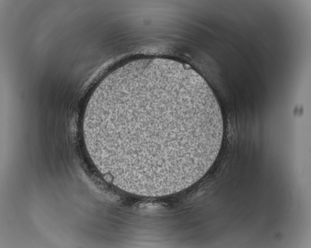 X0000114680208200911181238