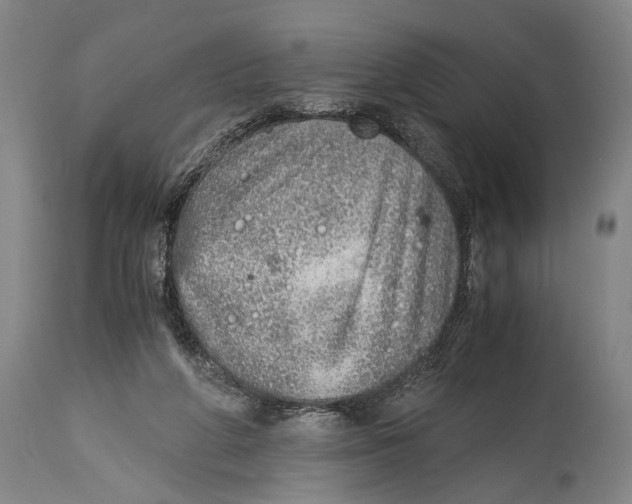 X0000114680210200911181238