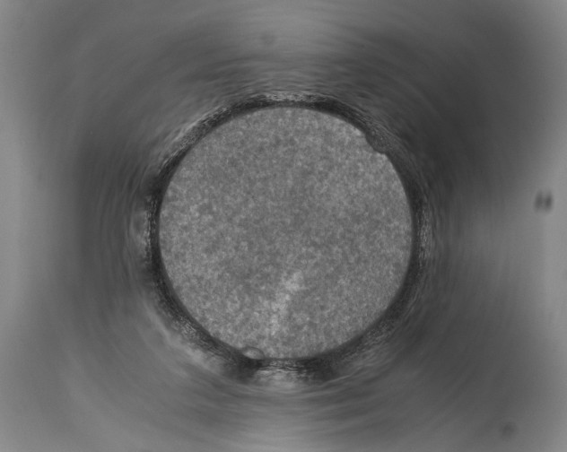 X0000114680211200911181238