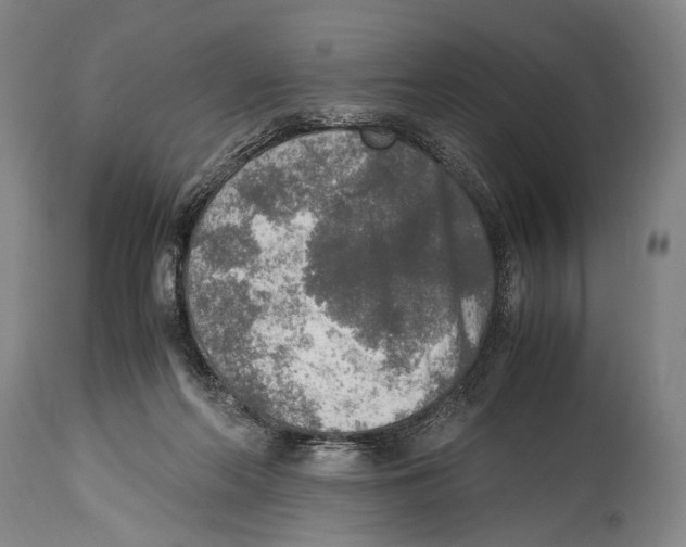 X0000114680214200911181238