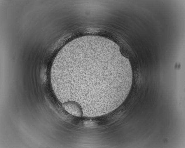 X0000114680216200911181238