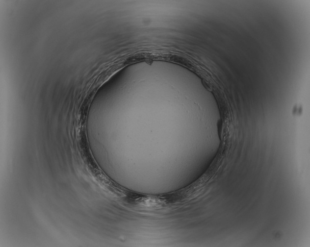 X0000114680223200911181238
