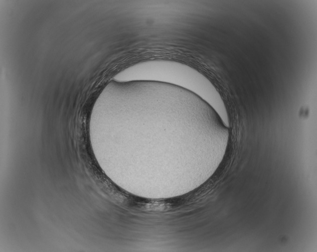 X0000114680225200911181238