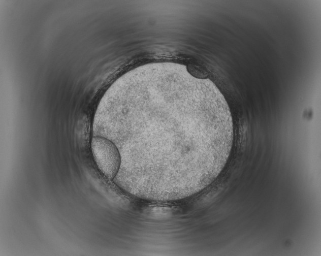 X0000114680228200911181238