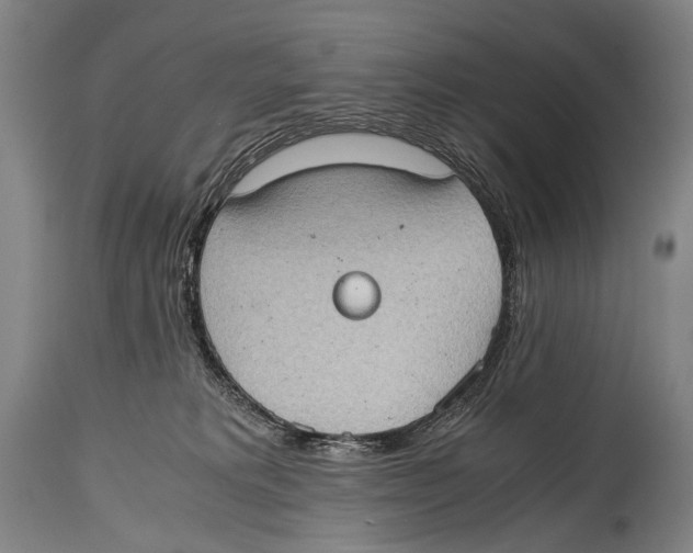 X0000114680229200911181238