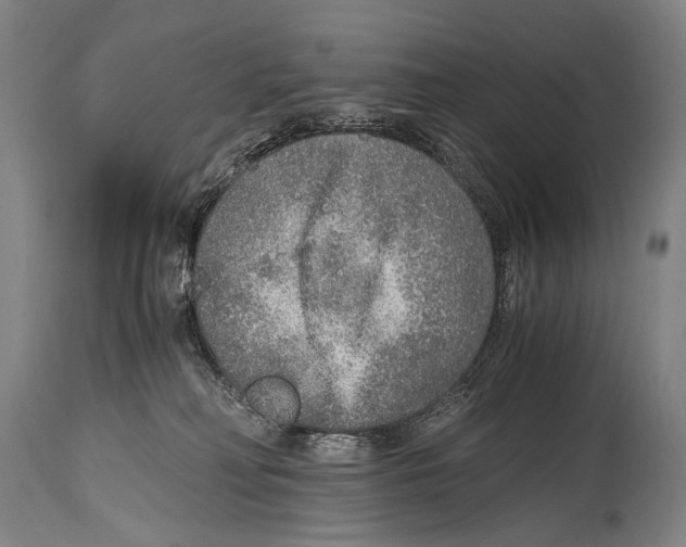 X0000114680230200911181238