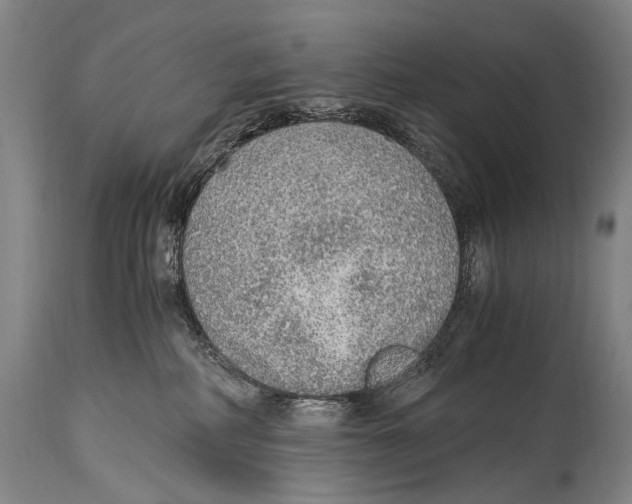 X0000114680234200911181238