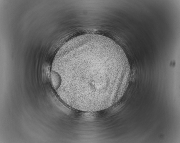 X0000114680238200911181237