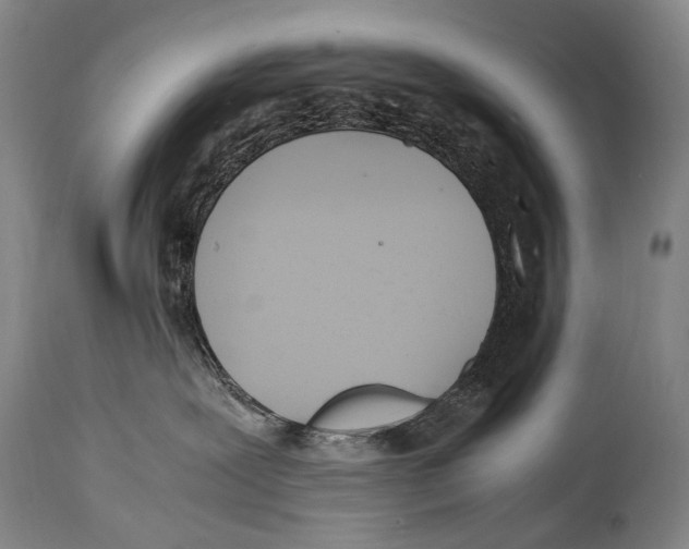 X0000114680239200911181237