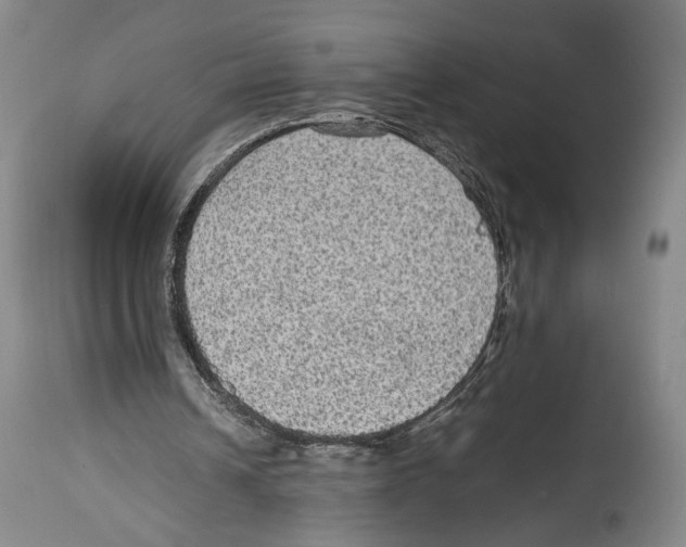 X0000114680242200911181237