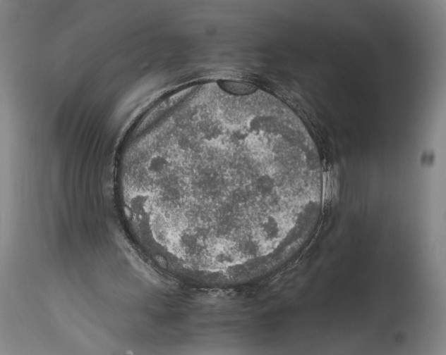 X0000114680243200911181237