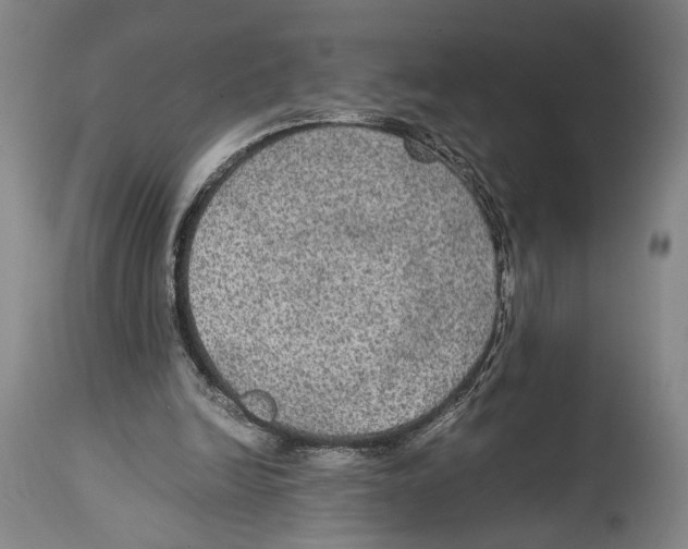 X0000114680246200911181237