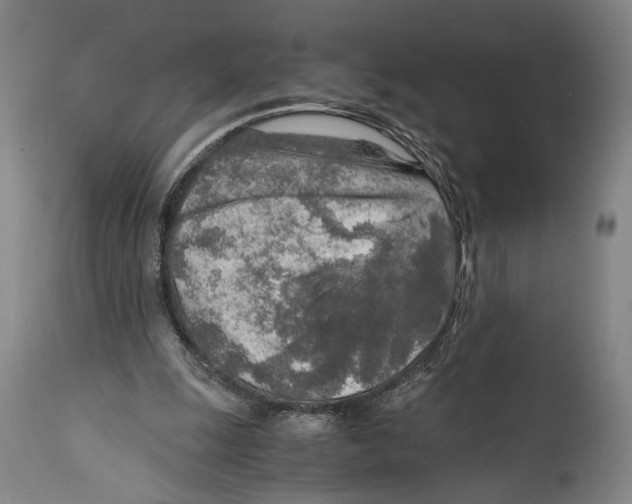 X0000114680247200911181237